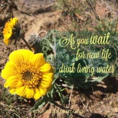 Wait for new life drink living water